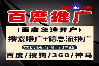 竞价推广公司案例揭秘：如何利用数据分析提升广告效果